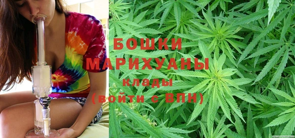 скорость Ладушкин