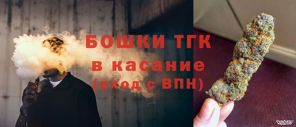 индика Лиски