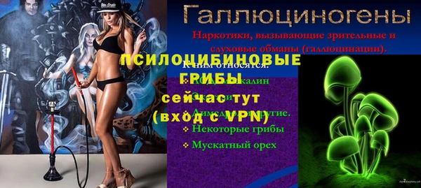 эйфоретик Майский