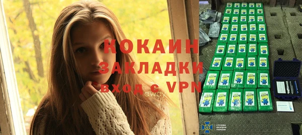индика Лиски