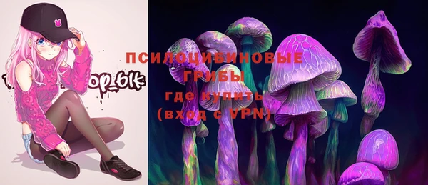 mix Лабытнанги