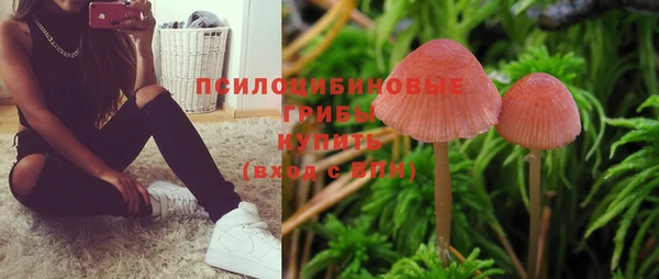 индика Лиски