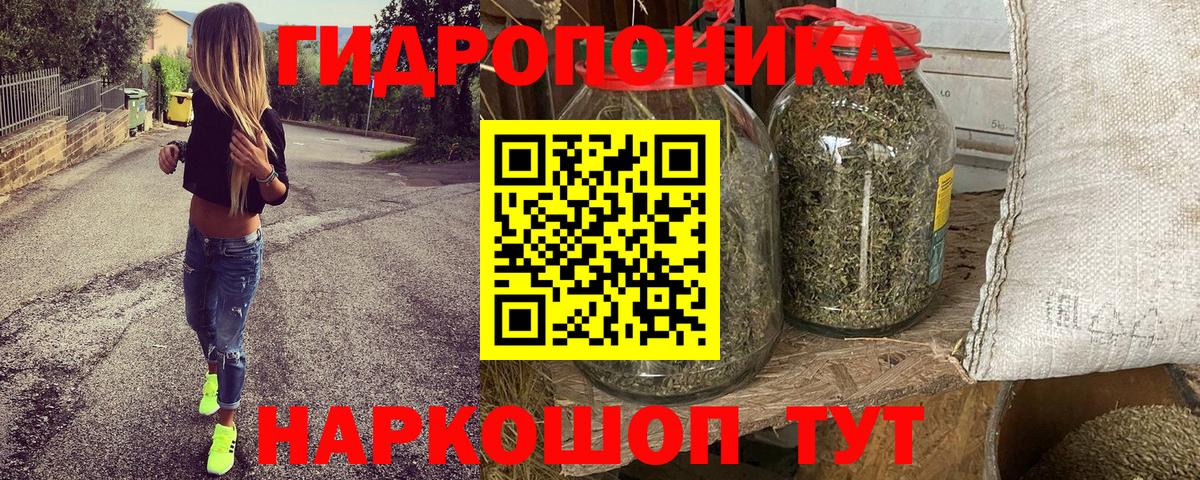 Бошки Шишки семена  Вход с VPN  Бошки Шишки LSD WEED  МАРИХУАНА индика  Кунгур 